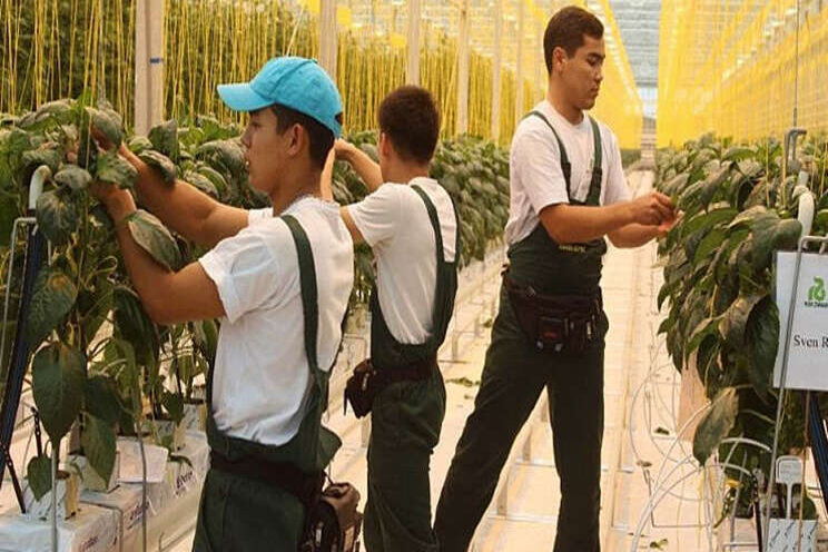 Consortium aan de slag in Kazachstan Consortium aan de slag in Kazachstan