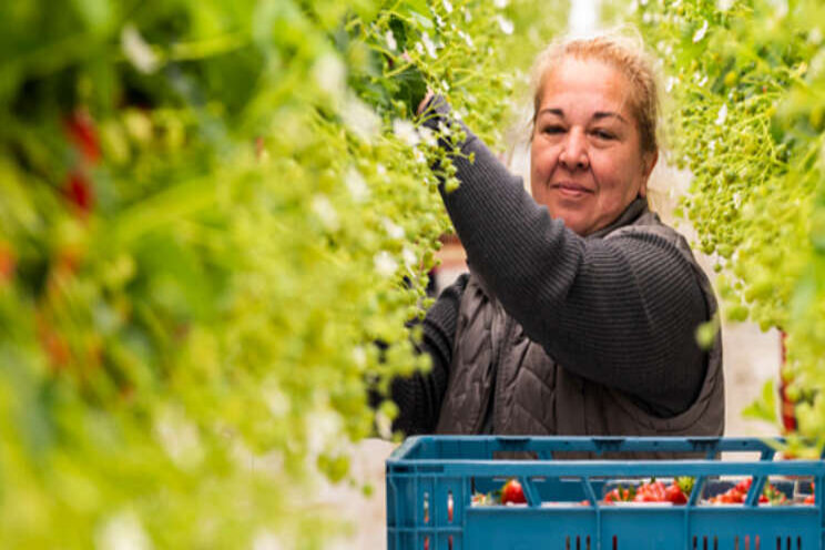 14 locaties voor huisvesting arbeidsmigranten 14 locaties voor huisvesting arbeidsmigranten