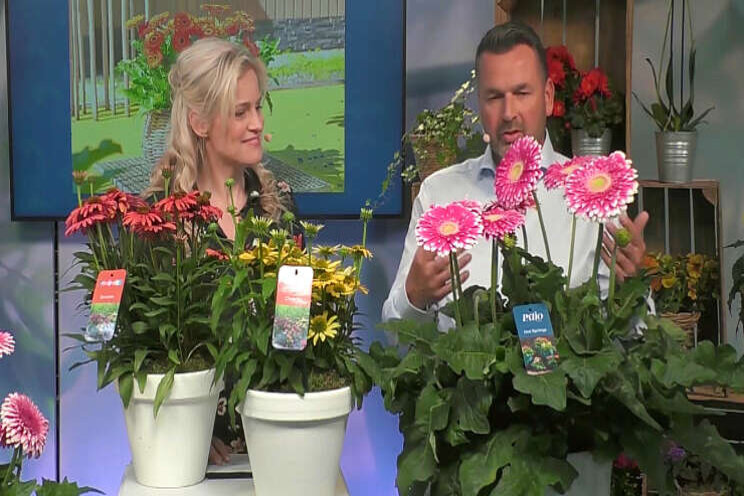 Kijk de derde uitzending van 'Studio FlowerTrials' terug Kijk de derde uitzending van 'Studio FlowerTrials' terug