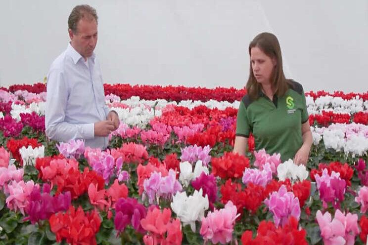 Video: Kijkje bij Schoneveld Video: Kijkje bij Schoneveld