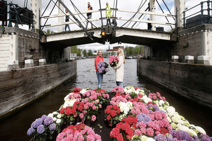 Bloemen in de gracht Bloemen in de gracht