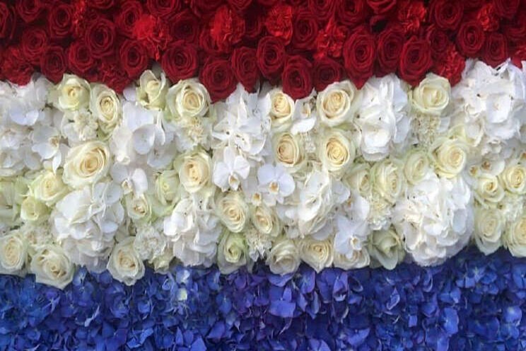 Nederlandse bloemen kleuren Eurovisie Songfestival Nederlandse bloemen kleuren Eurovisie Songfestival
