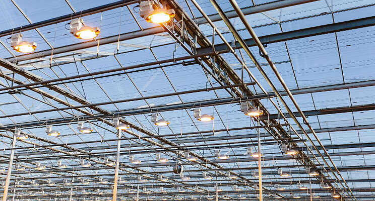 Pure winst: onderhoud groeilichtinstallatie Pure winst: onderhoud groeilichtinstallatie