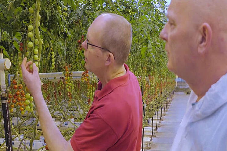 Video: Hoe vergroent... Gardeners Pride?